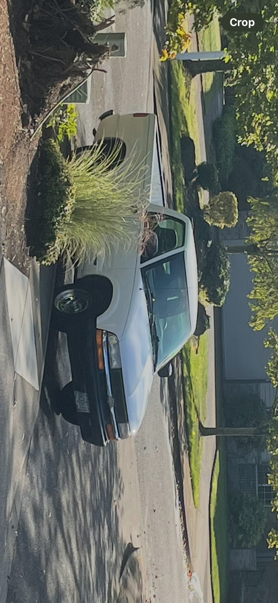 1999 Chevrolet S10