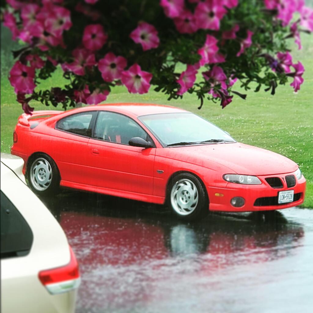 Ben's 2004 Pontiac GTO